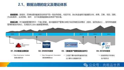 XX集團(tuán)數(shù)據(jù)治理體系建設(shè)方案 數(shù)據(jù)處理服務(wù)專(zhuān)項(xiàng)規(guī)劃